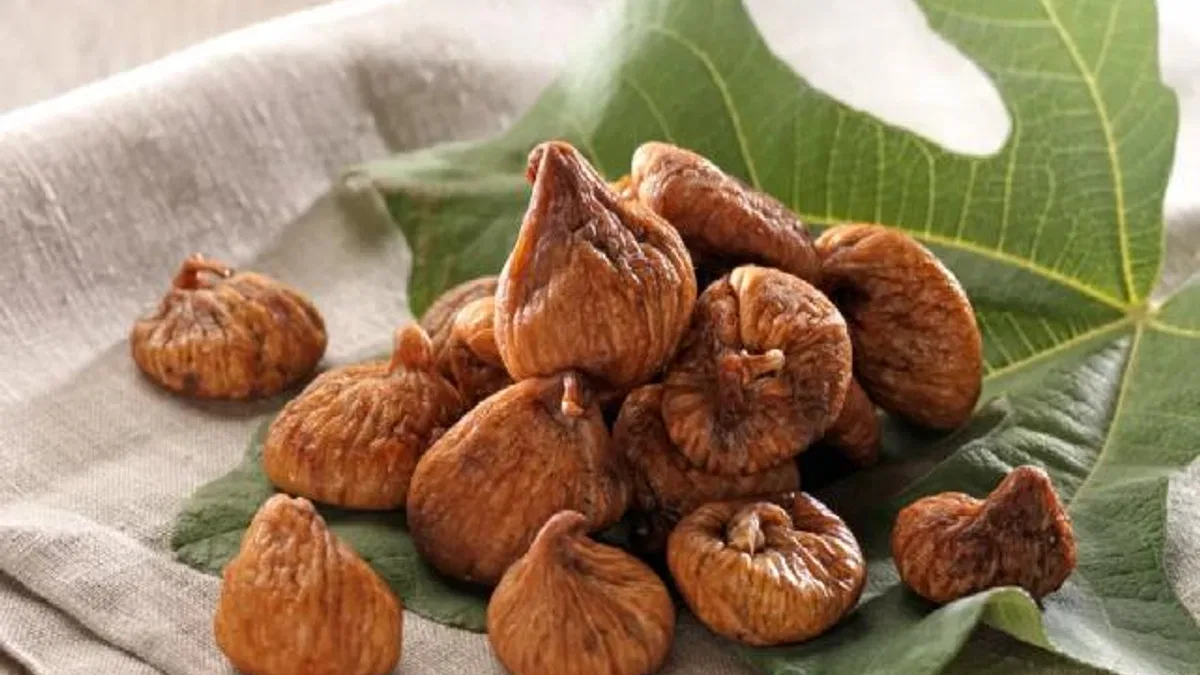 Aflatoksinli inciri enerjiye dönüştürdüler