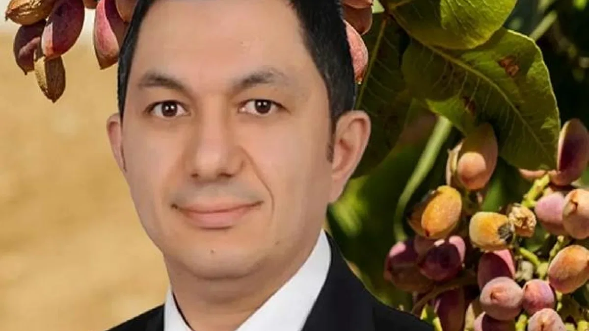 UKAB MYK Üyesi Büyükmurat: İthal fıstık çiftçiyi bitirir!