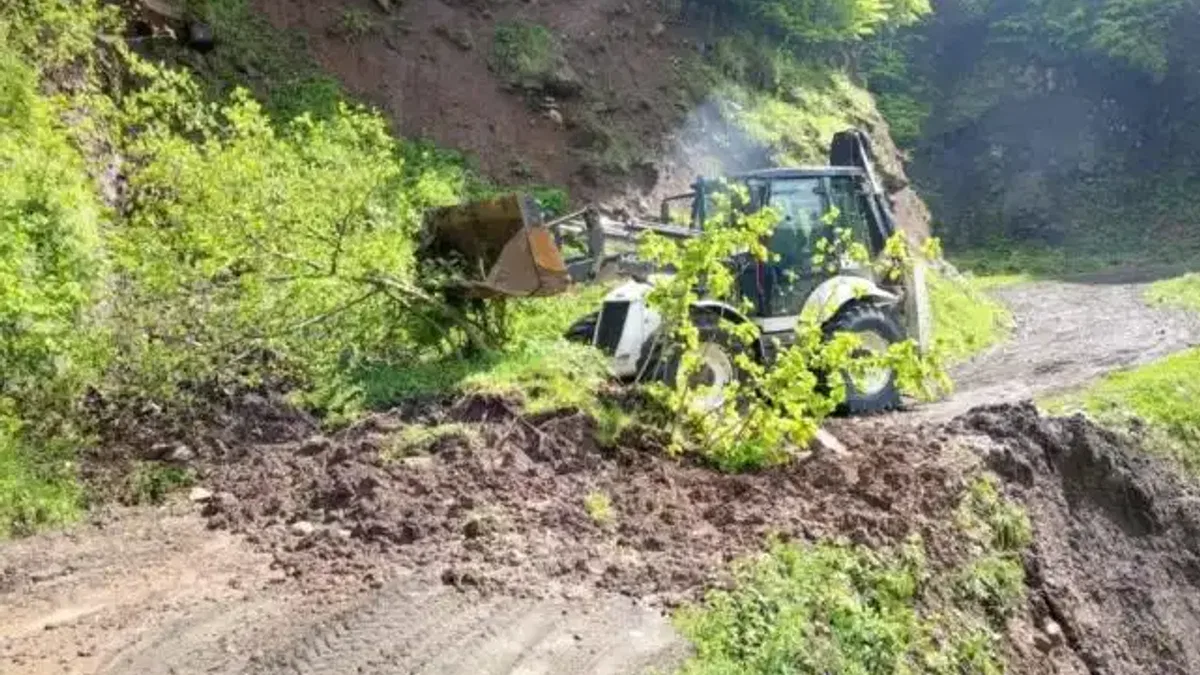 Ordu’da kuvvetli yağış sonrası 120 heyelan