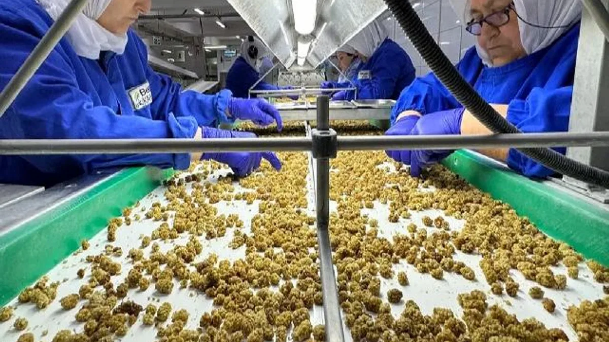 Organik sektör 15 milyar dolarlık hacme ulaştı