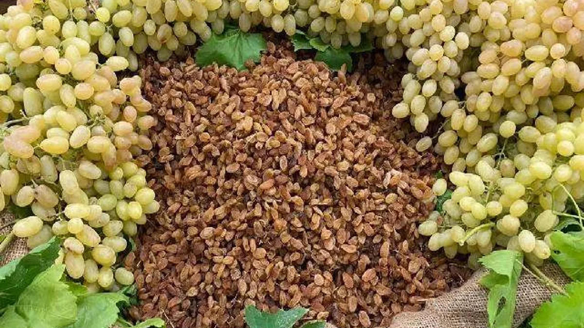 Çekirdeksiz ihracatta Türkiye 'en'leri yaşadı