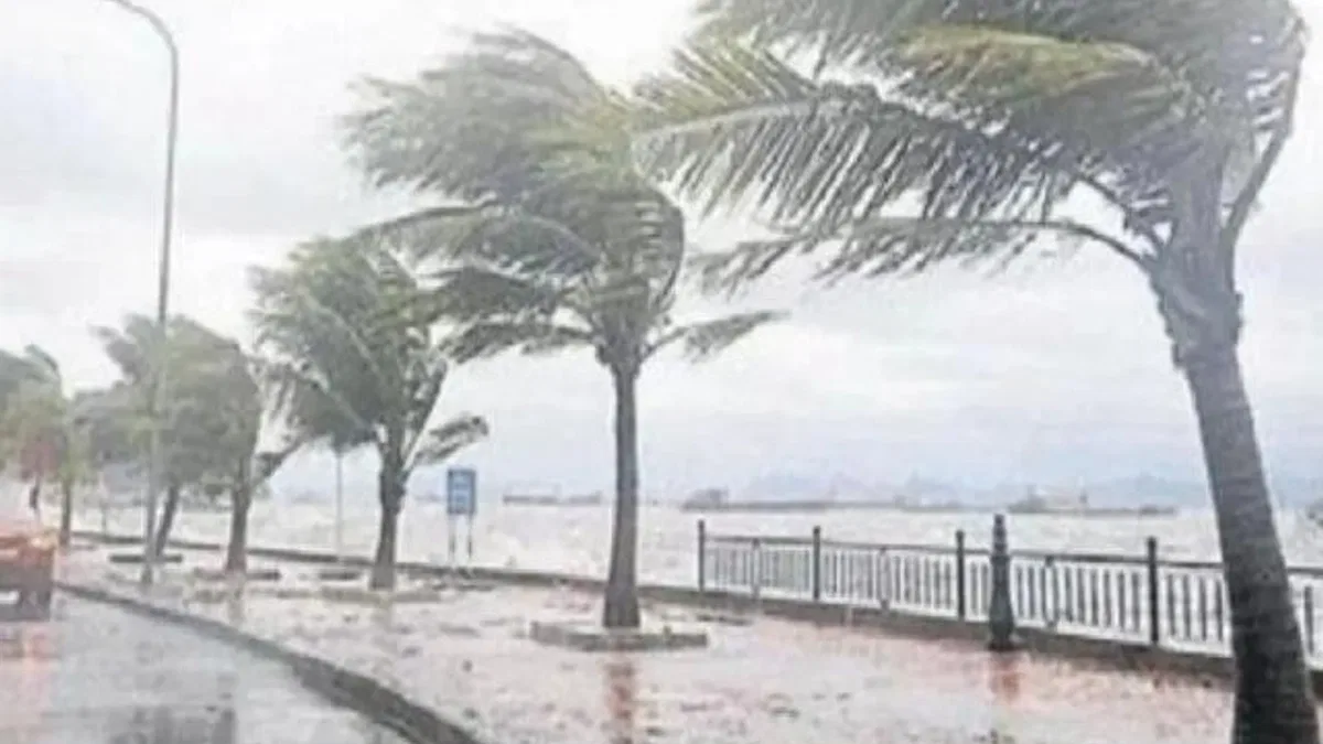 Yurt genelinde yağış ve rüzgar uyarısı