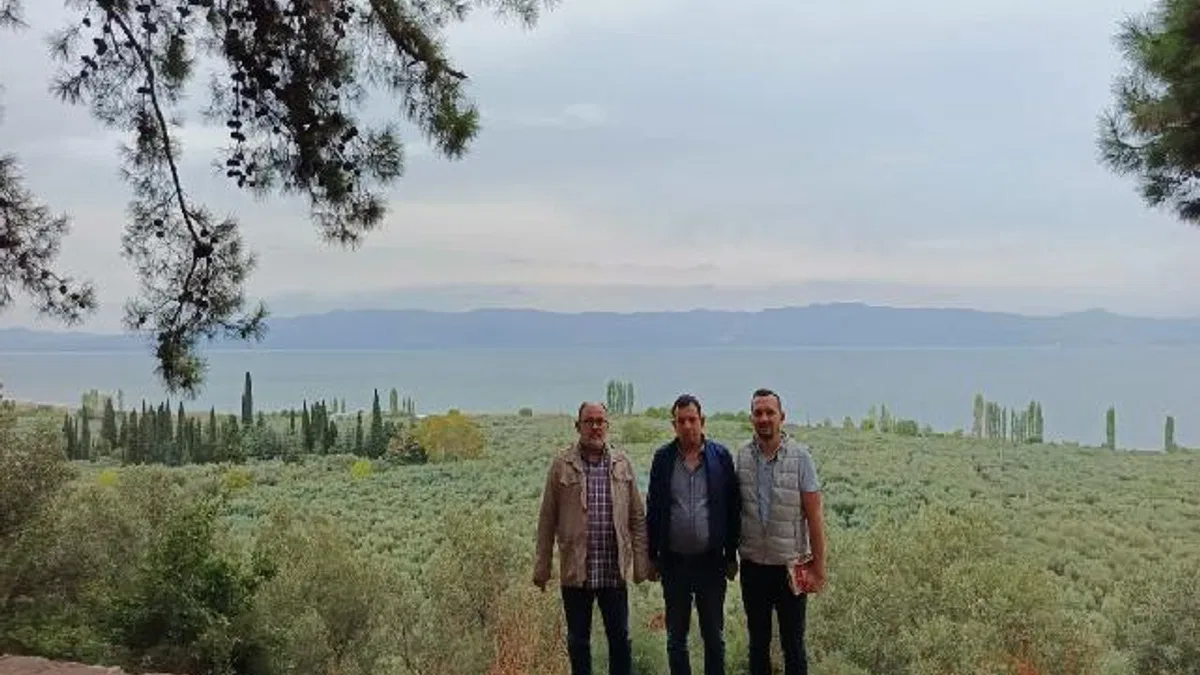 Marmarabirlik’ten 'anıt zeytin ağaçları'na özel marka vizyonu