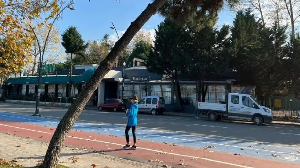 Ordu’da tehlike arz eden ağaçlar için güvenlik çalışması