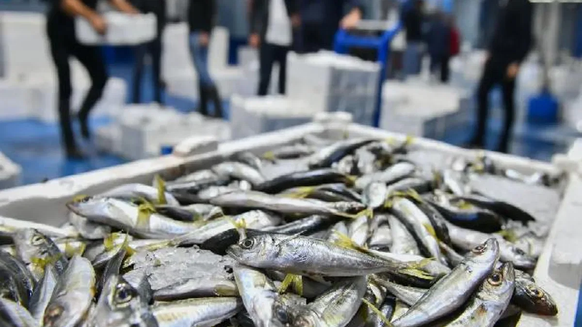 Ankara'da balık sezonu başladı, denetimler sıklaştı