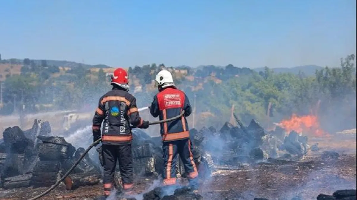 Sakarya Söğütlü’deki orman yangını kontrol altına alındı