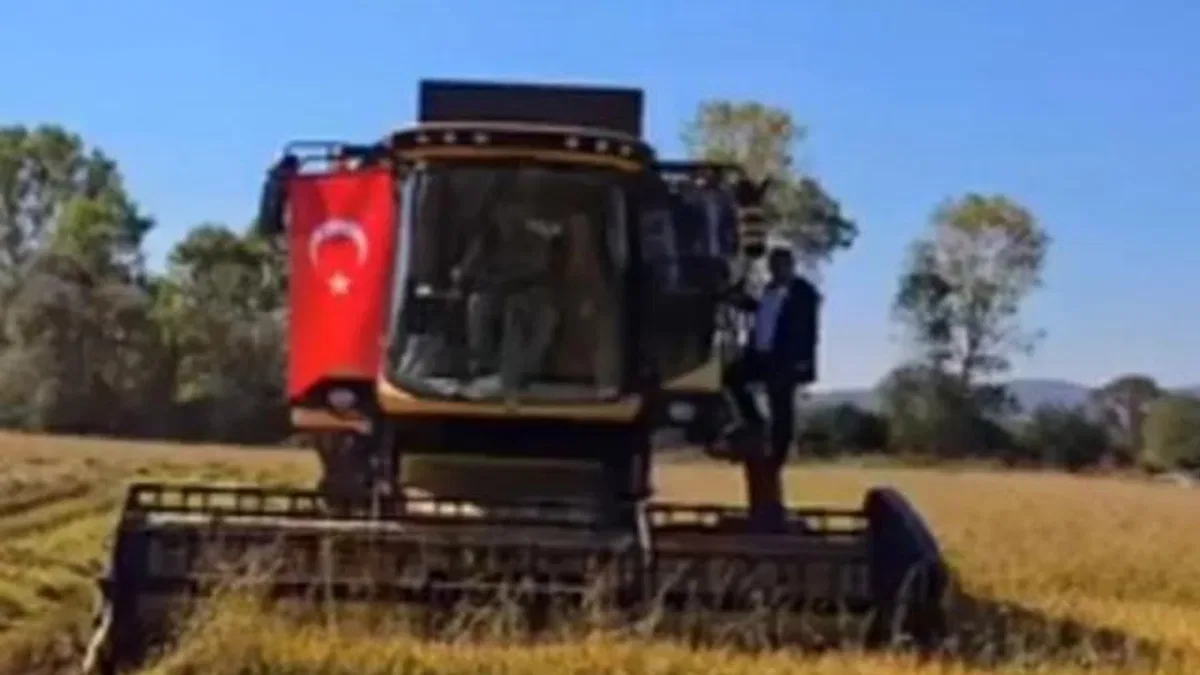 İstanbul'da yeni üretim sezonu için tohum ve fideler hazır