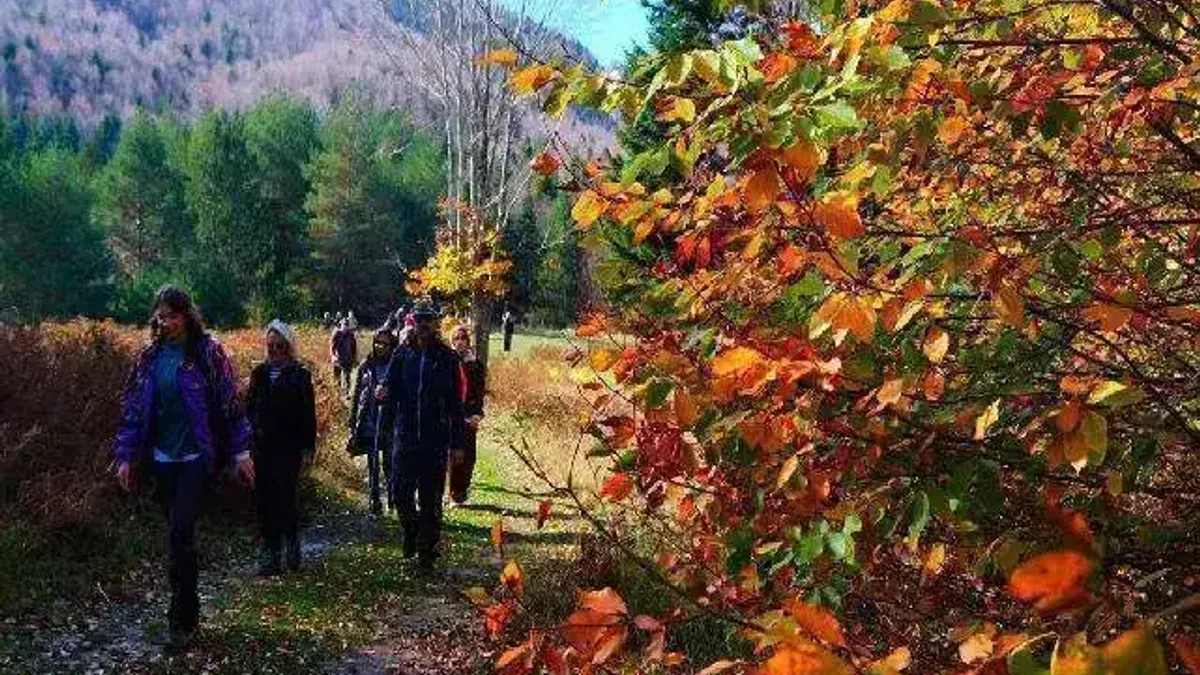 Sakarya’da doğa yürüyüşlerinde sonbahar coşkusu