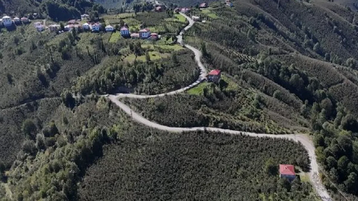 Ordu Gürgentepe’de ulaşım konforu artıyor