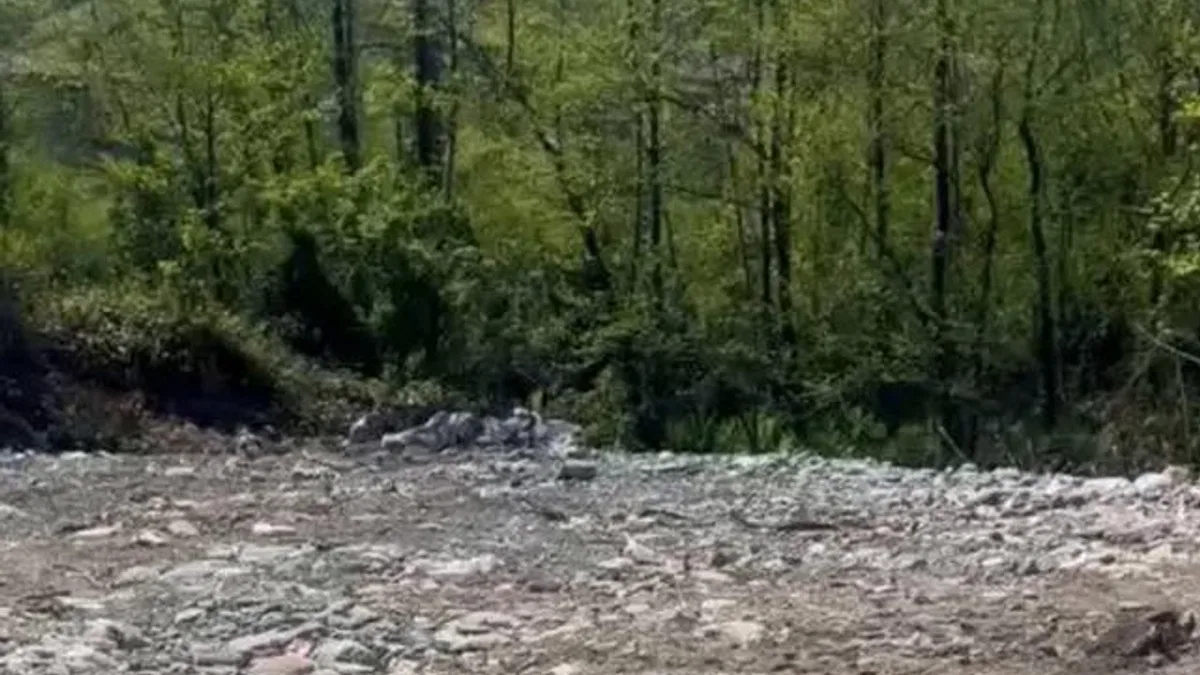 Rize’de vahşi depolamaya milyonluk ceza! Çevre'den suç duyurusu