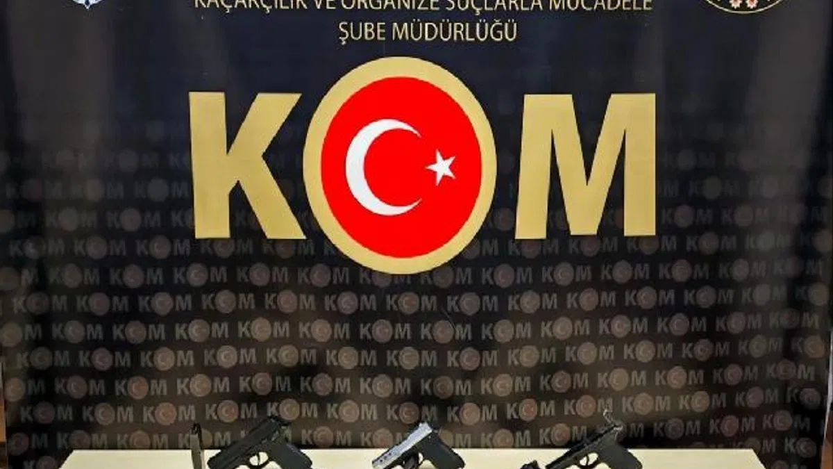 Bilecik'te kaçak silah operasyonu