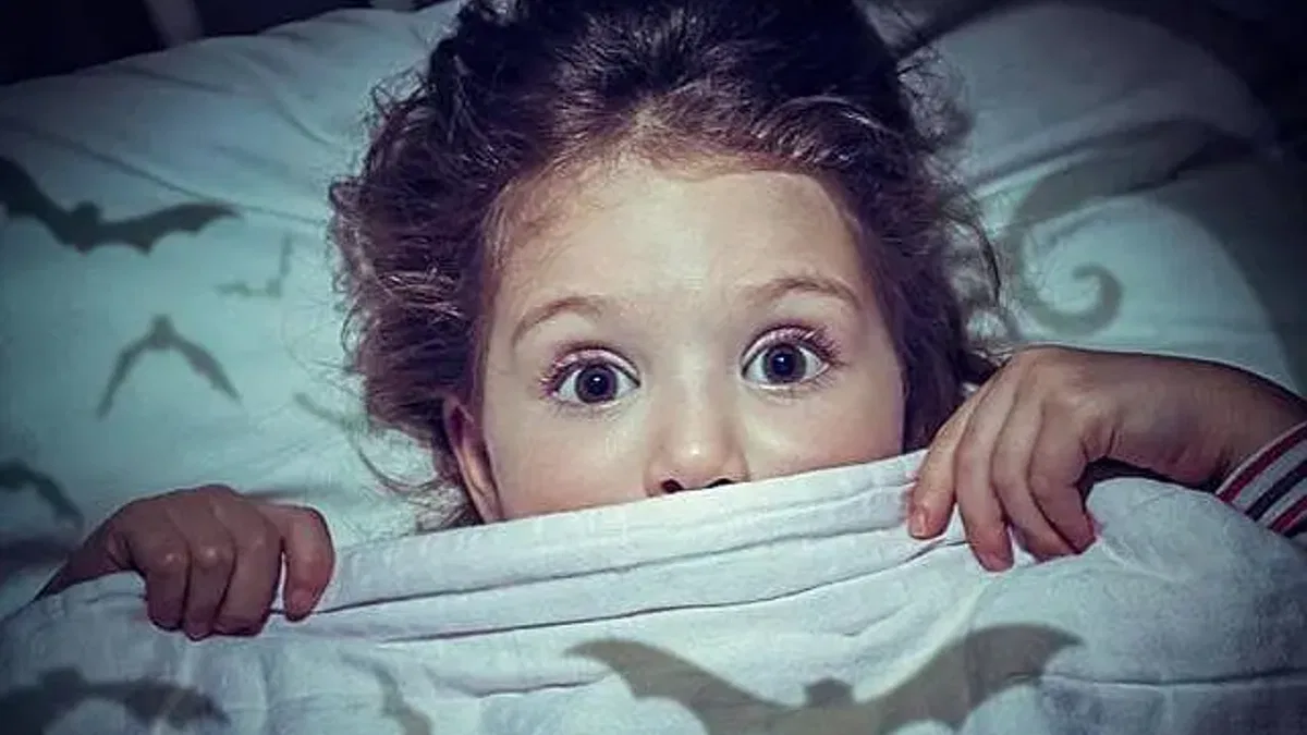 Gece Korkusu Yaşayan Çocuğa Bu Yaklaşımlar Önemli!