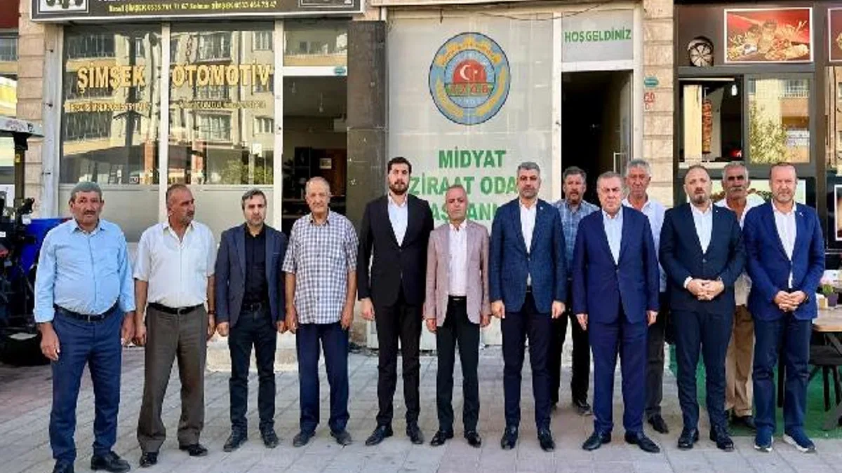 AK Parti Milletvekili Faruk Kılıç, Midyat’ta çalışmaları inceledi
