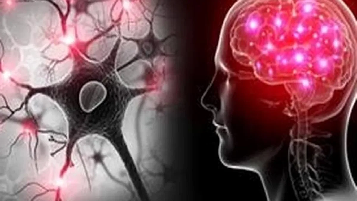 Yapay zekâ ve EEG ile otizm ve dislekside erken teşhis umudu