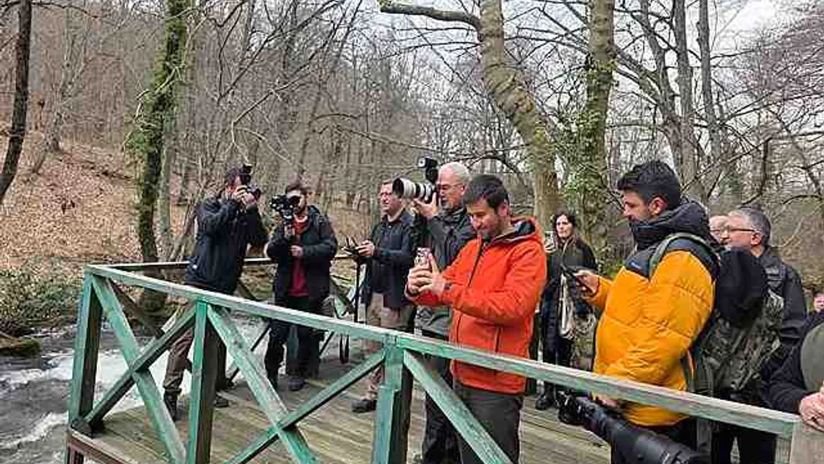 Orman Varlığının Önemi EkoFotoSafari Projesiyle Desteklenecek