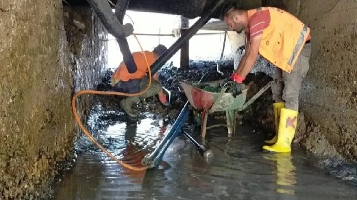Ordu Fatsa’da tarihi temizlik seferberliği