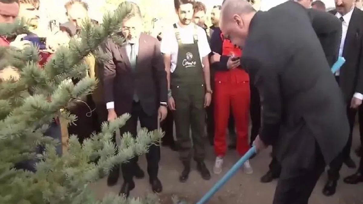 Cumhurbaşkanı Erdoğan: Her karış vatan toprağını yeşille, hayatla, umutla buluşturacağız