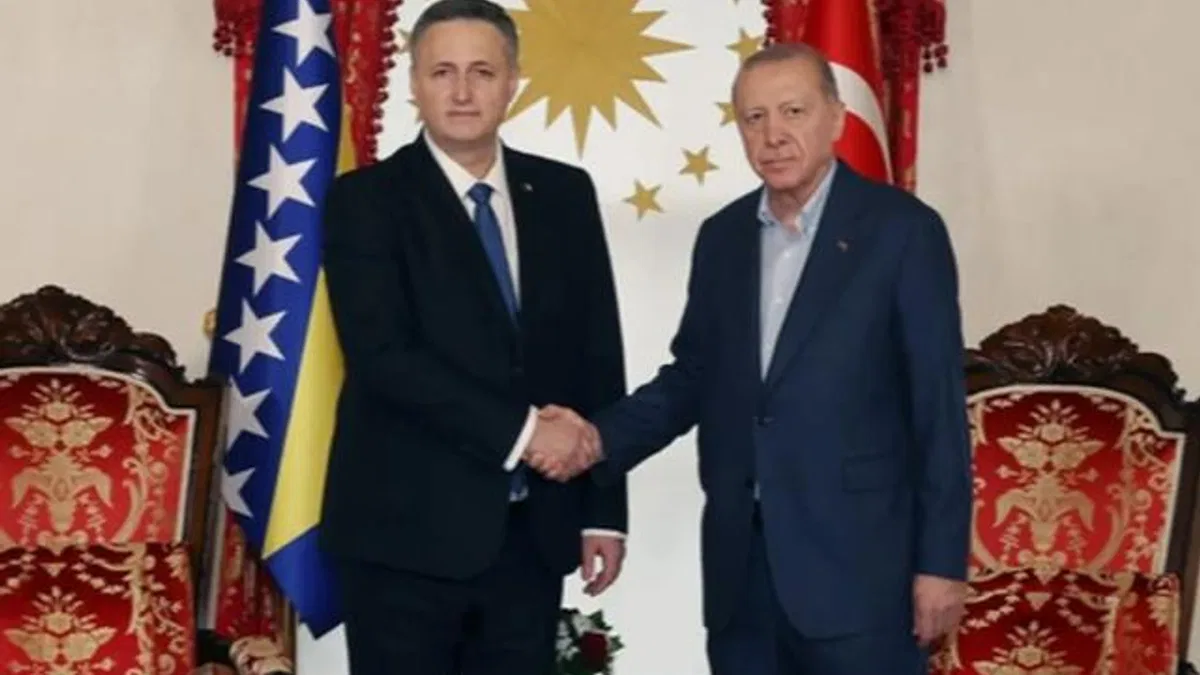 Cumhurbaşkanı Erdoğan, Beçiroviç'i Dolmabahçe'de ağırladı
