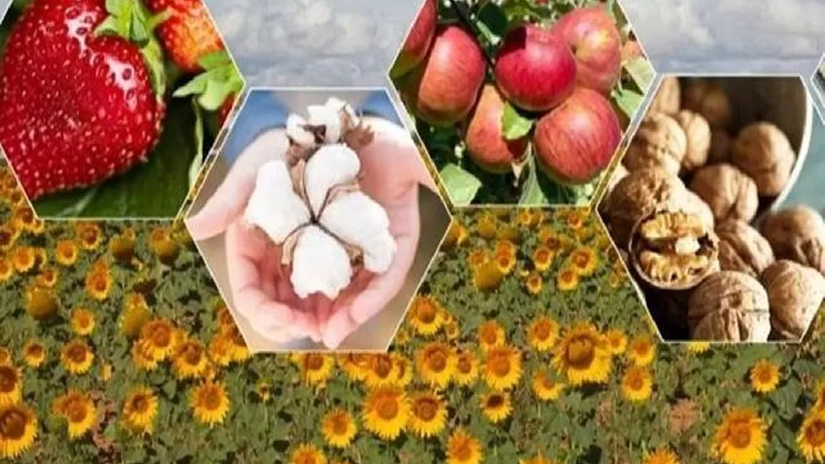 Tarımda zor yıl beklentisi!