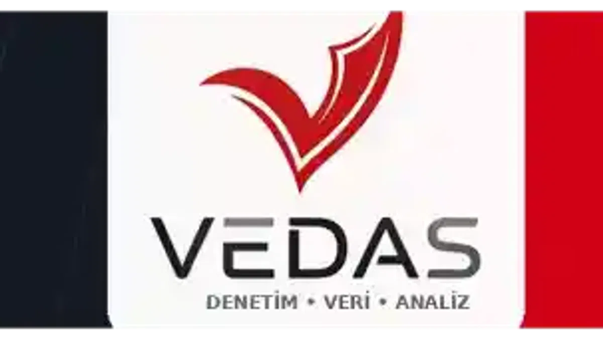 Yerli denetim yazılımı VEDAS-DAP tüm kamunun kullanımına açıldı