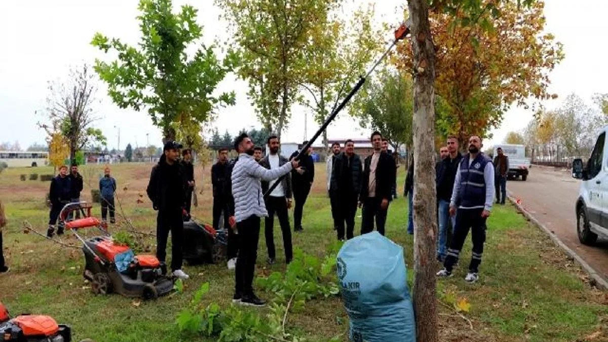 Diyarbakır'da üniversite öğrencileri sahada budama tekniklerini uygulamalı öğrendi
