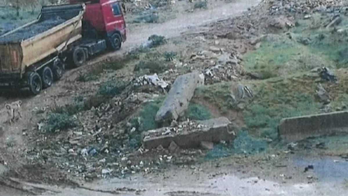 Kocaeli Encümeni ceza yağdırdı... Doğa katliamına 7,5 milyon TL ceza