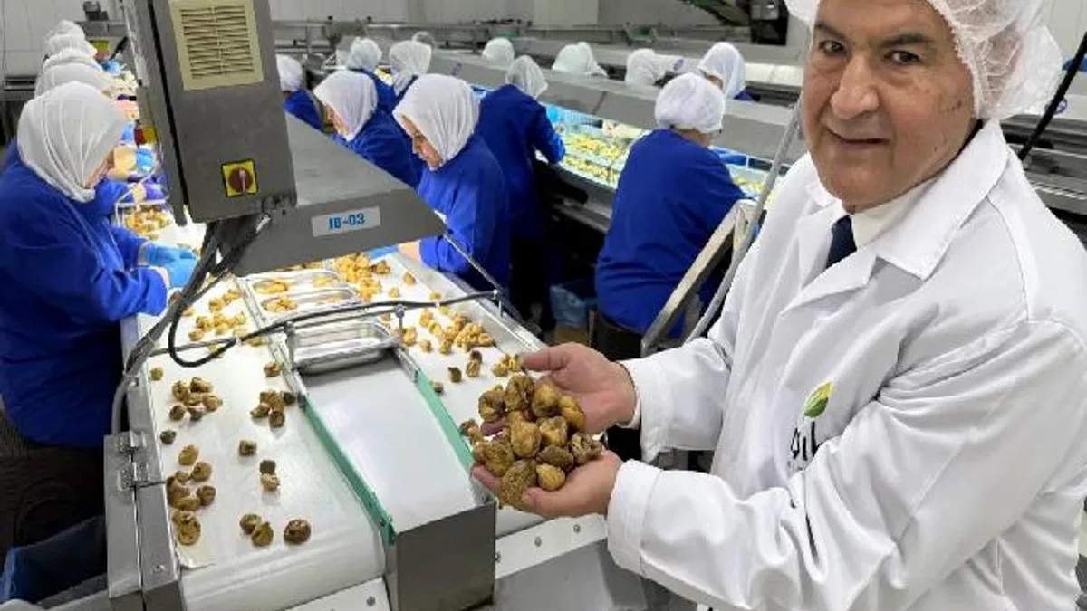 Kuru meyve sektöründe 12 şampiyonun 11’i Egeli