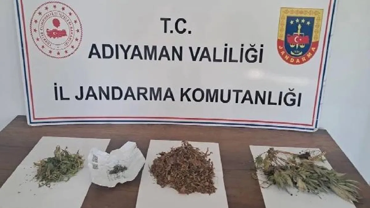 Kahta'da 305 gram kubar esrar ve kenevir ele geçirildi