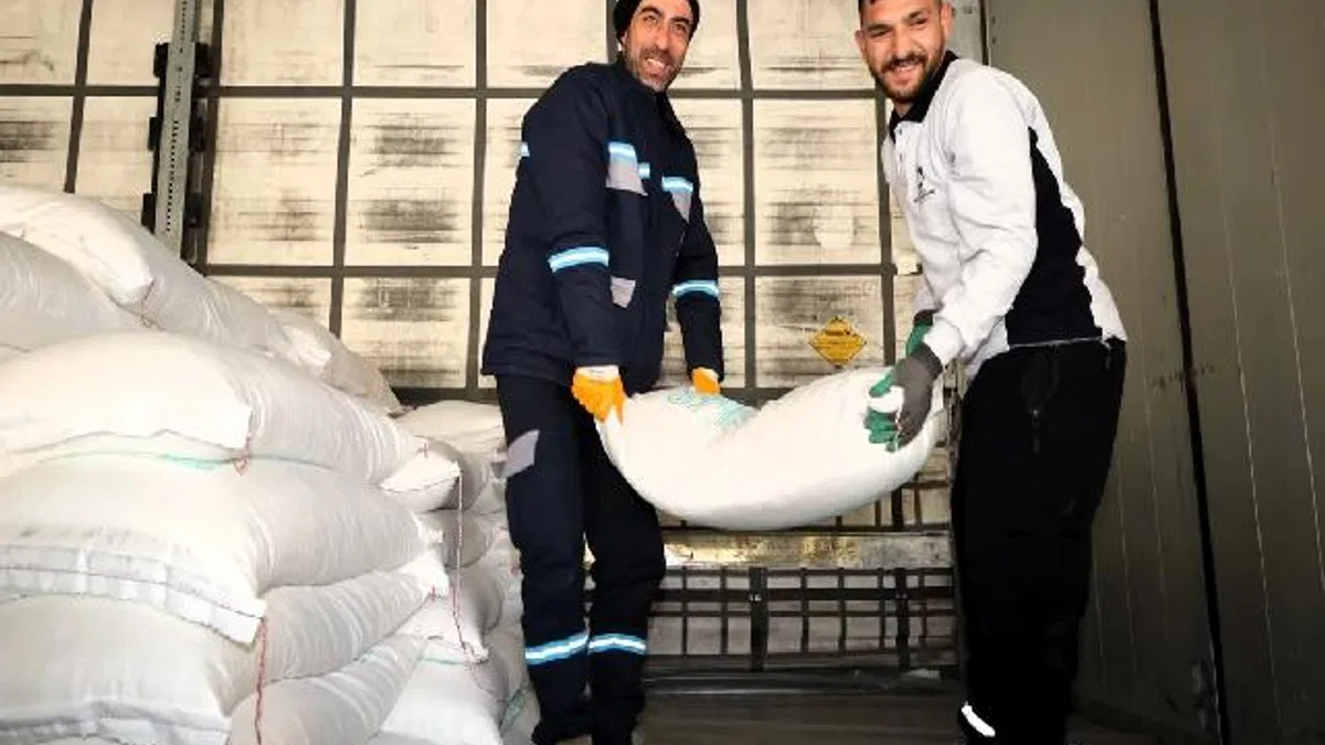 Kocaeli'den arıcılara yüzde 50 hibeli arı yemi