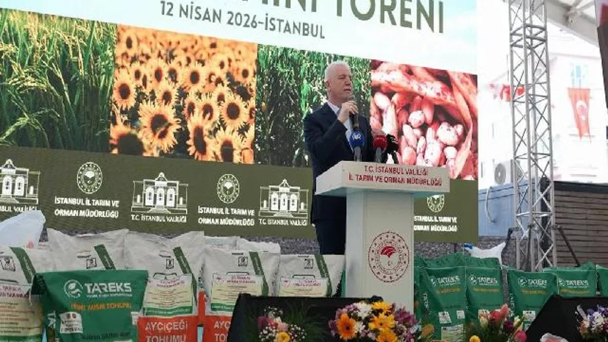 İstanbul’da çiftçiye dev destek... 84 ton tohum dağıtılacak