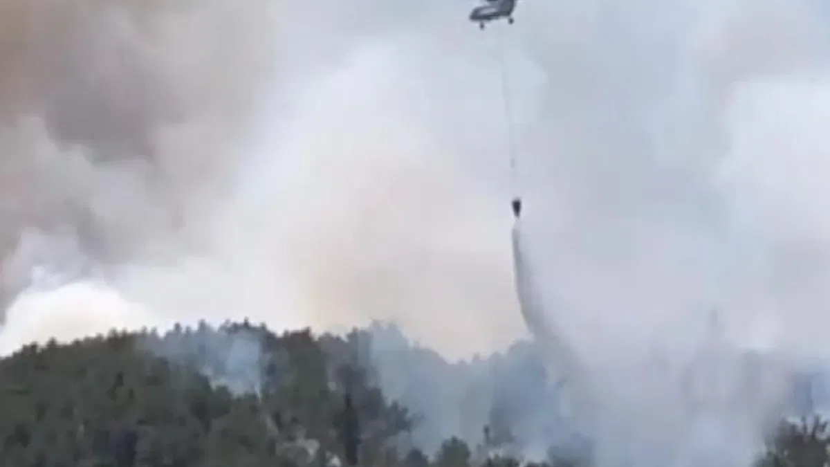 Sakarya ve Eskişehir’deki yangınlarda son durum