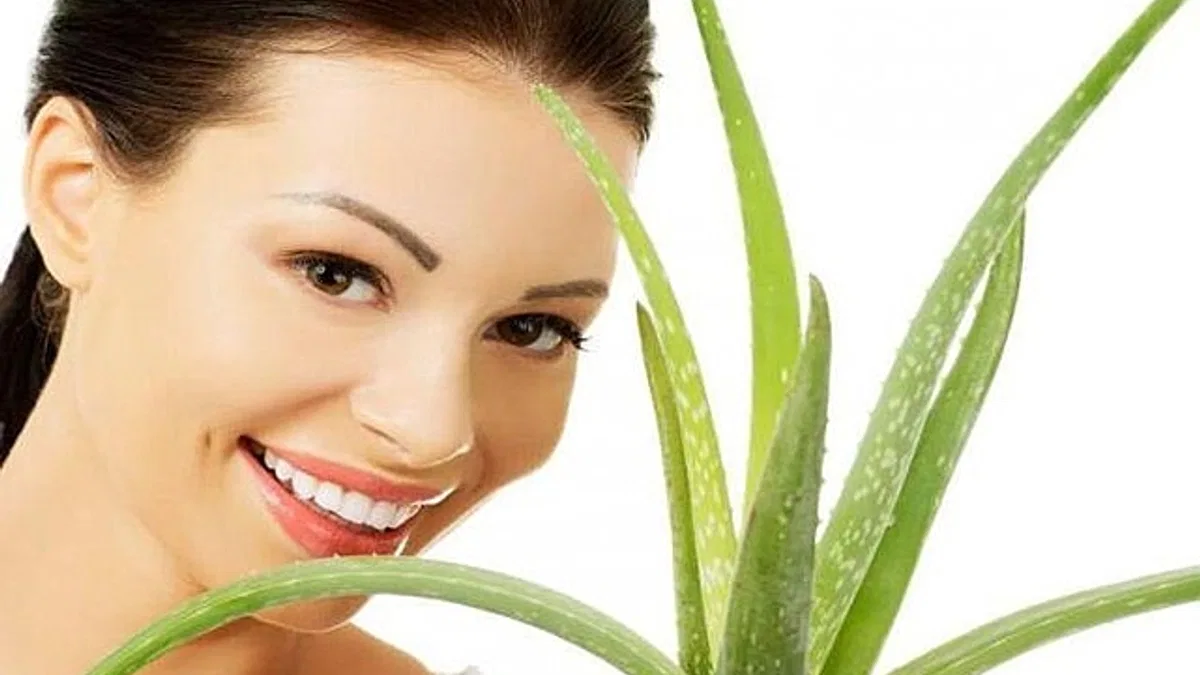 Güzelliğin Asırlık Yardımcısı: Aloe Vera