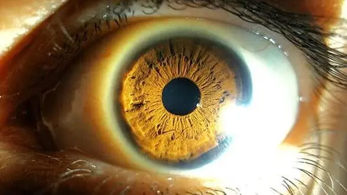 Bilim insanları sadece gözlere bakarak hastalıkları teşhis eden cihaz geliştirdi