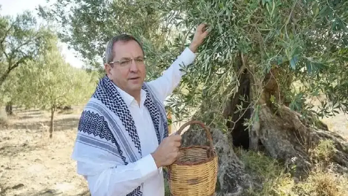 Ayvalık, zeytin ve zeytinyağının buluşma noktası olacak