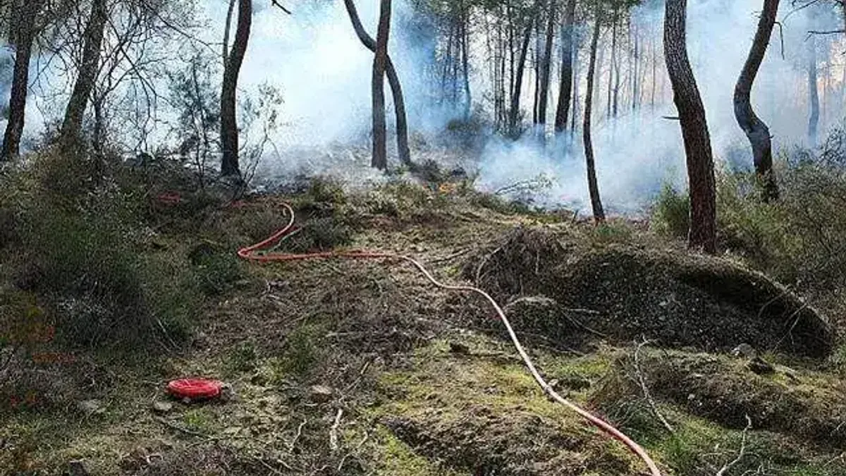 Kemer Belediyesi yangına karşı seferber oldu
