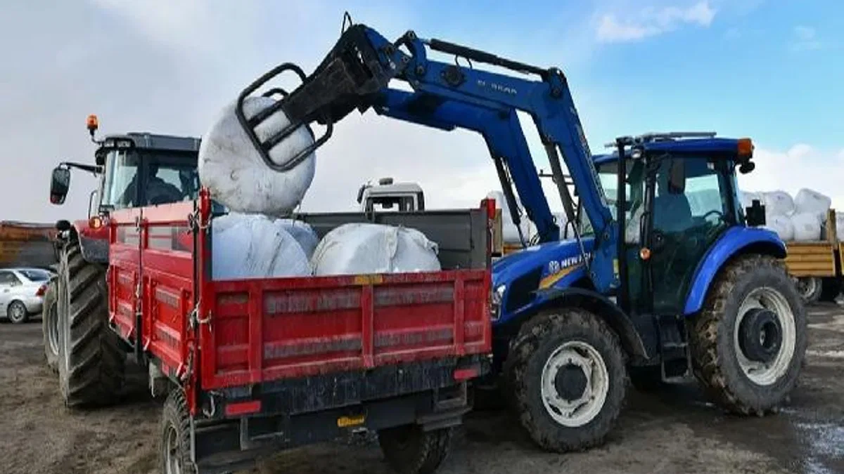 Ankara Büyükşehir'in mısır silajı desteği sürüyor