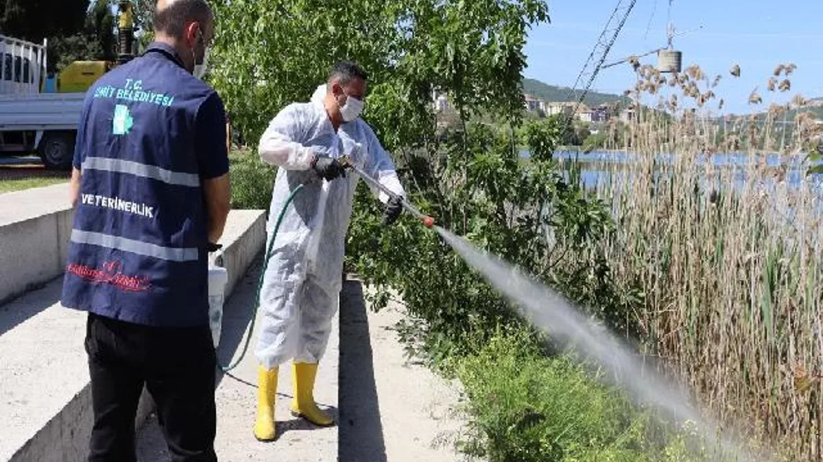İzmit'te halk sağlığı için yoğun ilaçlama mesaisi