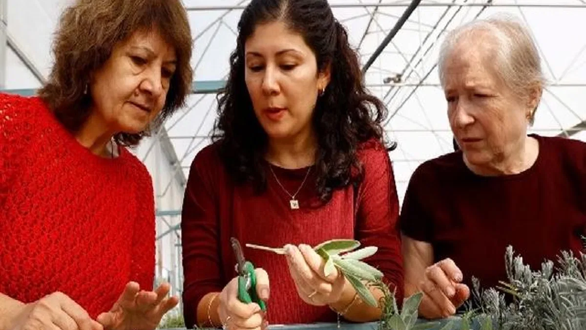 Antalya’da 'Tıbbi ve Aromatik Bitki Yetiştiriciliği' kursu ilgi görüyor