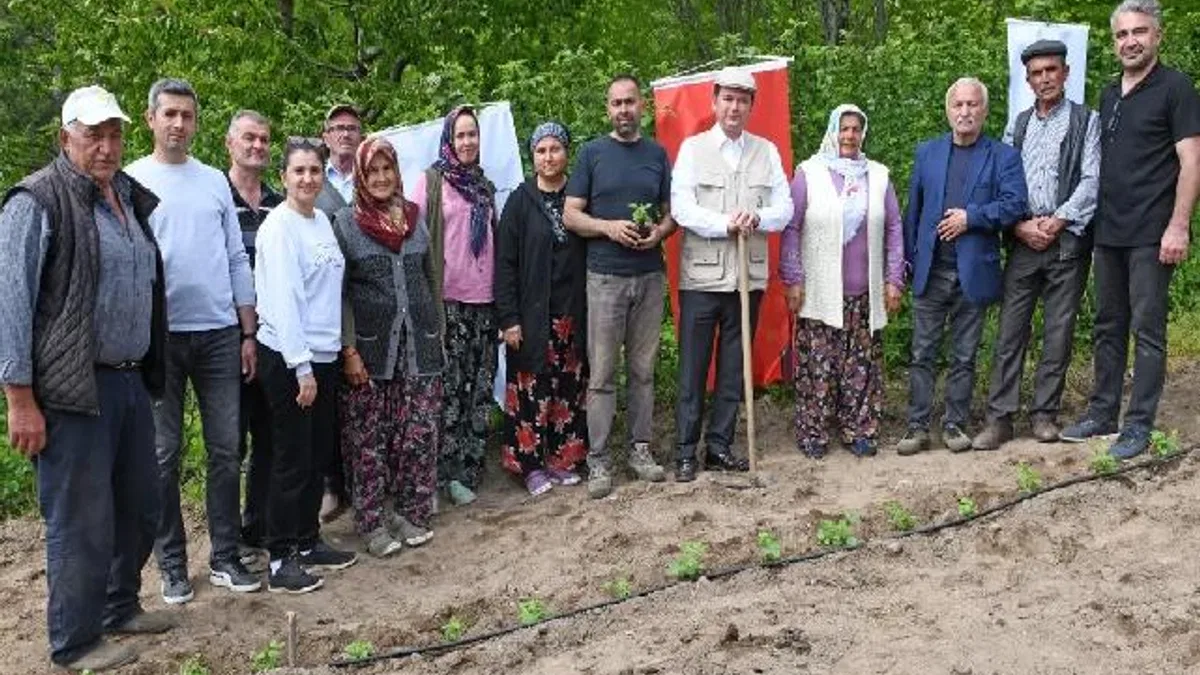 Bursa Osmangazi Belediyesi’nden tarımsal üretim adımı