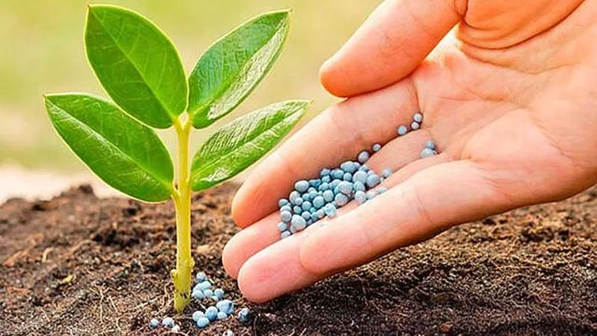 Pestisit Kimyasallarında Güvenli Doz Yanılgısı!