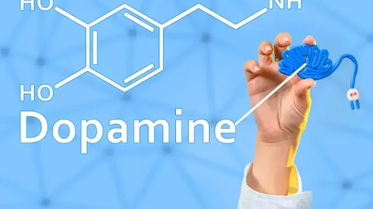 Bağımlılıkların Tümünün Temelinde Dopamin Yatıyor!
