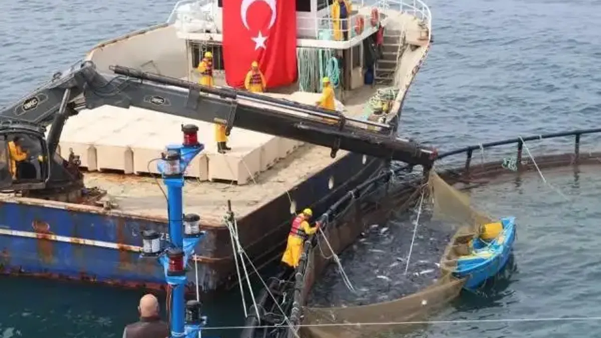 Türk somonu ihracatta rekor yolunda... Üretim 75 bin tona ulaştı