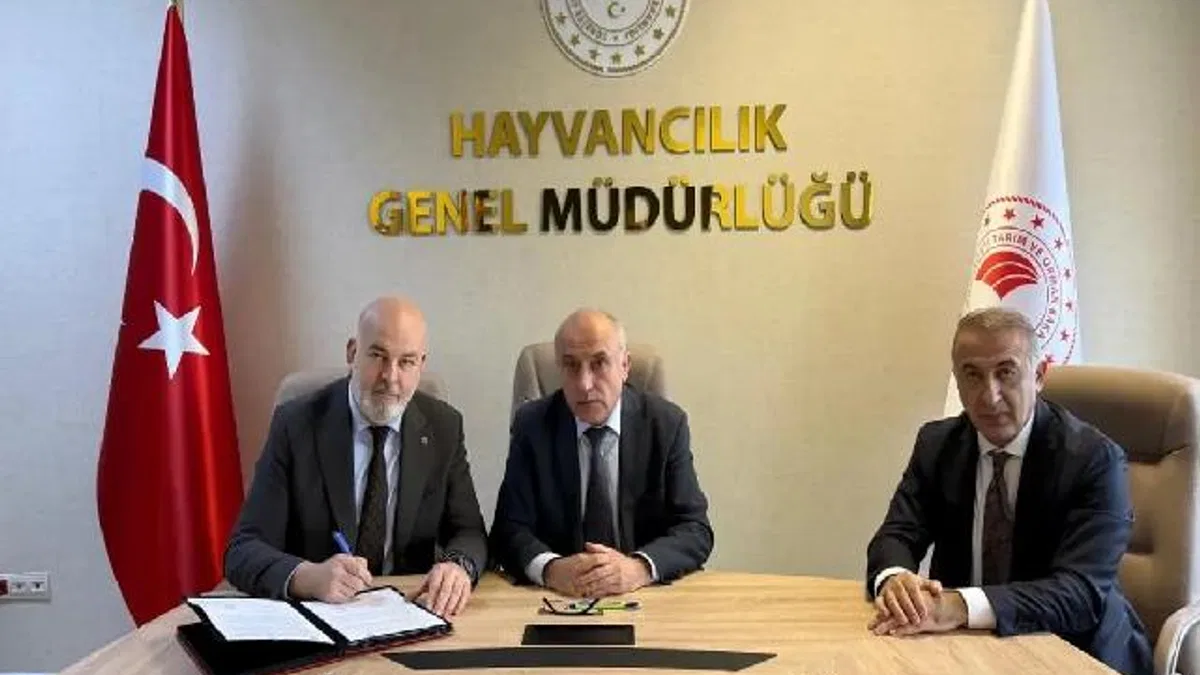 Besilik hayvan krizine neşter! İki kritik protokolle yerli üretim güçlenecek