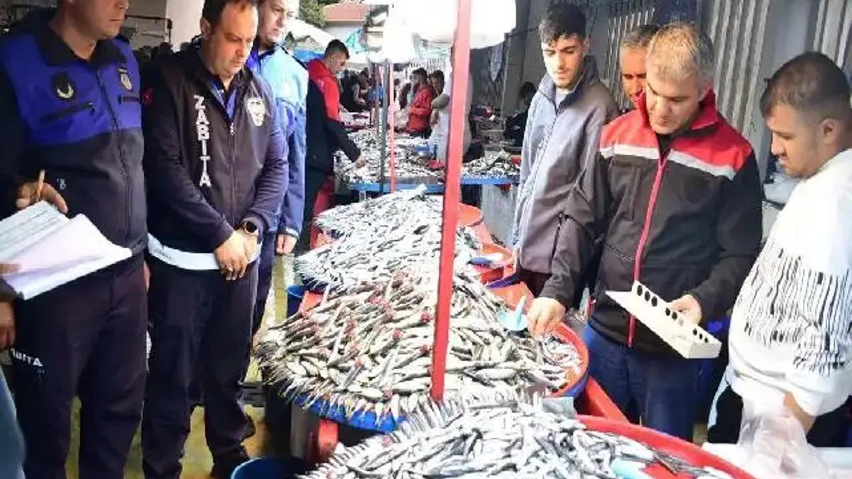 Bursa Yenişehir'de balık pazarına sıkı denetim