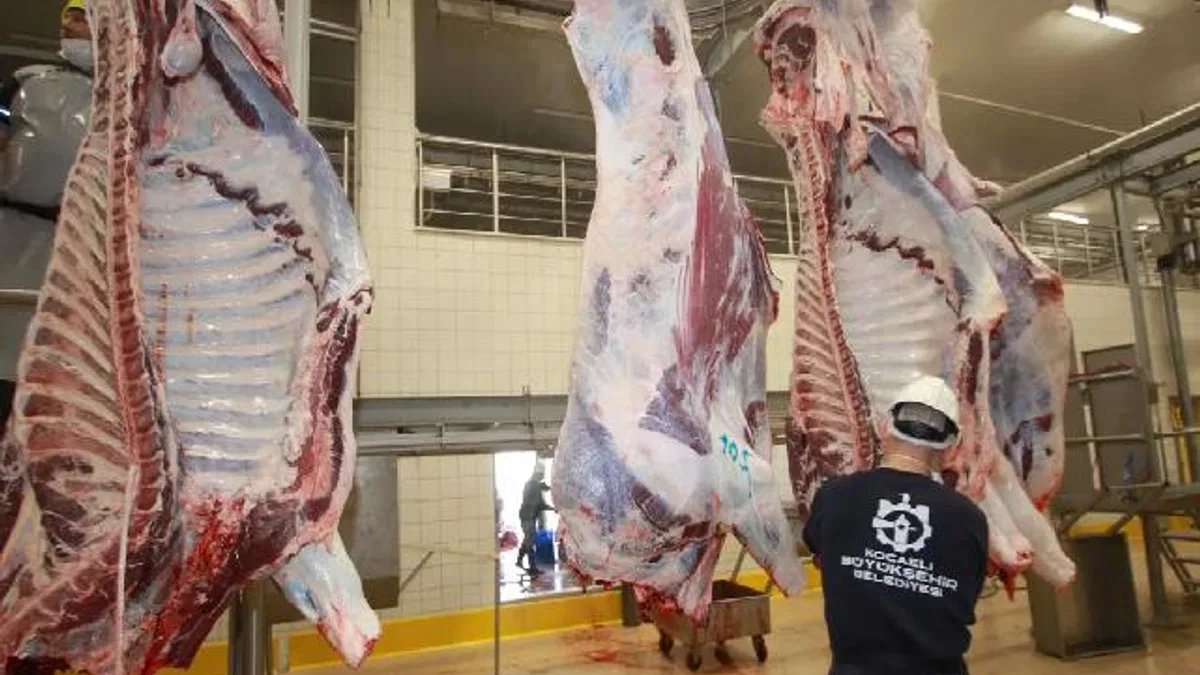 Kocaeli'de sağlıklı ve güvenilir etin adresi Belediye Mezbahası