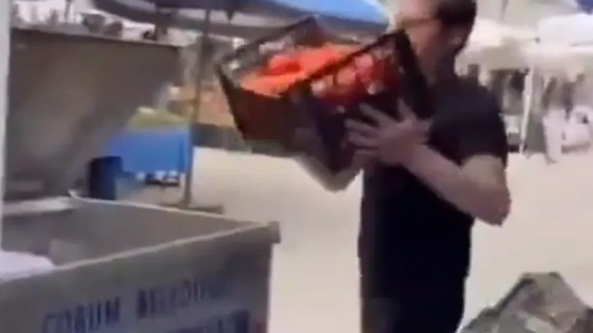 Kasalarca domatesler çöpe döküldü! Cezasız kalmadı!