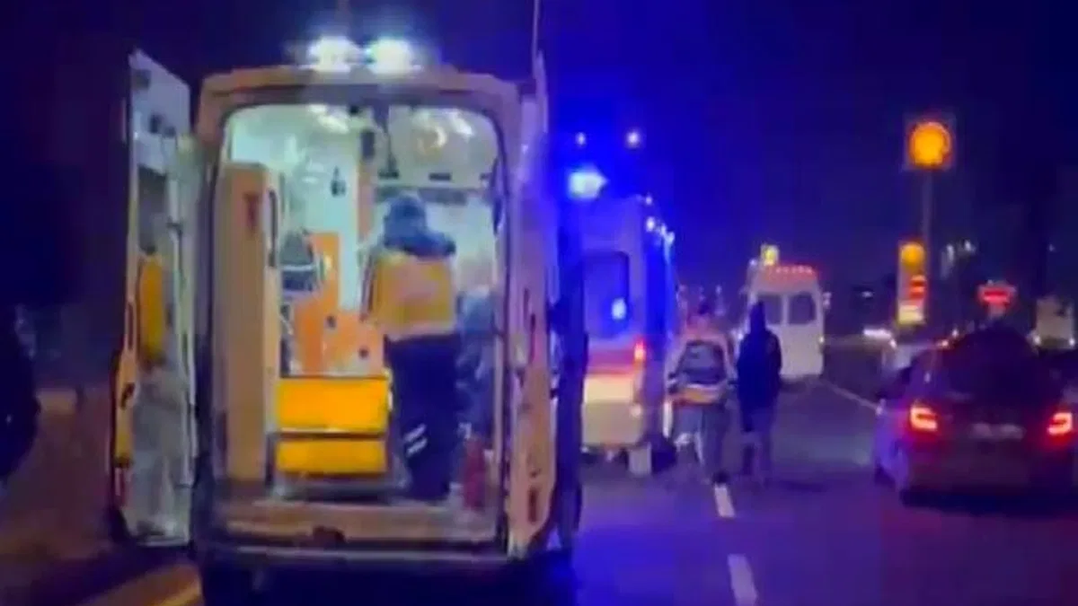 Düzce'de otomobil kontrolden çıktı: 2 yaralı