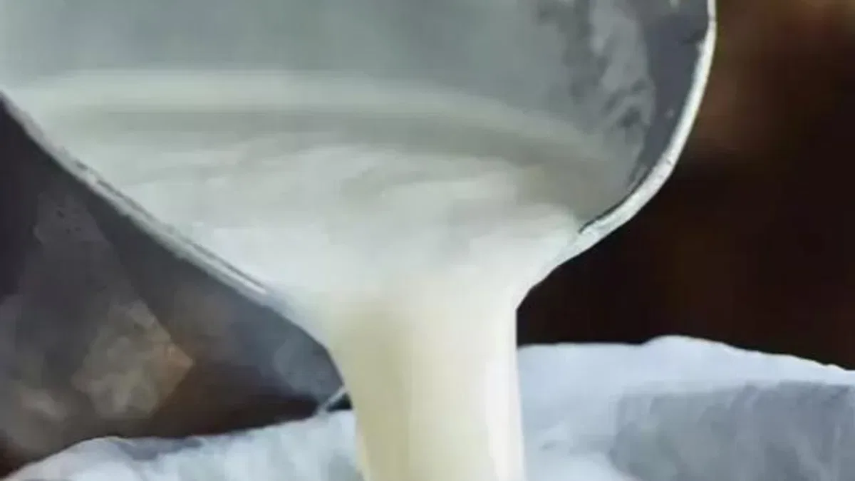 İçme sütü ve tereyağında düşüş... Ayran ve kefir üretimi arttı