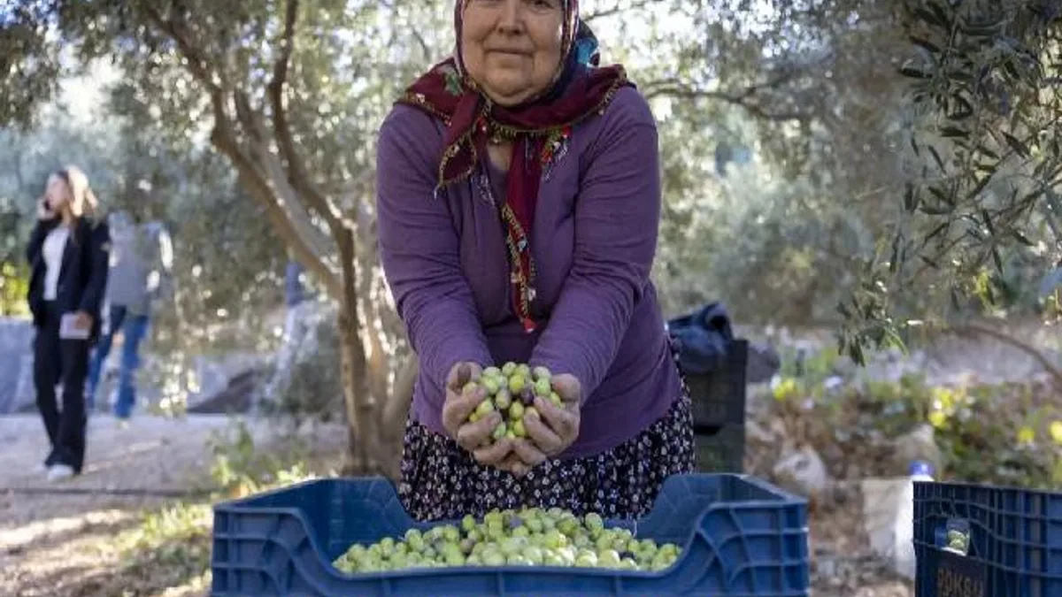 Mersin’de kadın eli toprağa değer katıyor