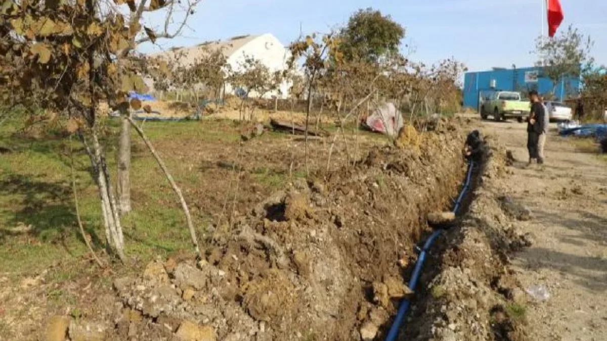 Ordu’da fındıkta verim için damlama sulama dönemi